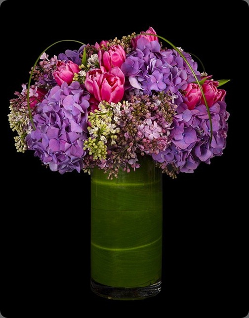 Motley Bloom