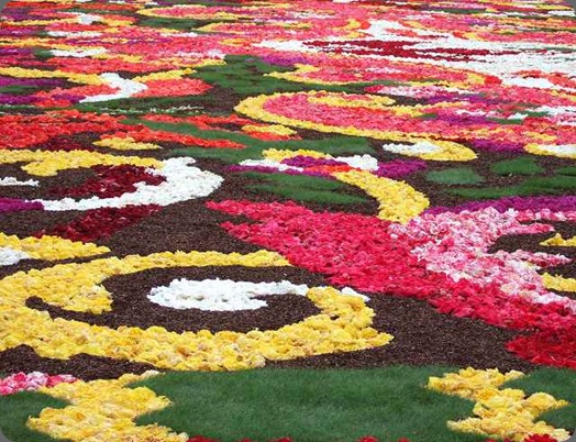 fcarpet0808-09 bloemenvanthura.com fcarpet0808-09 bloemenvanthura.com