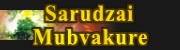 StoryTime Author: Sarudzai Mubvakure
