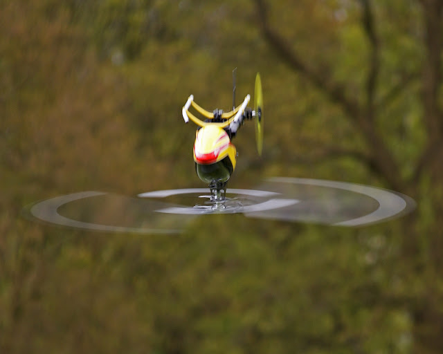 Atom5003.jpg
