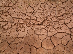 Dried_mud