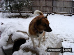 DSC07913.JPG