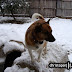 DSC07913.JPG