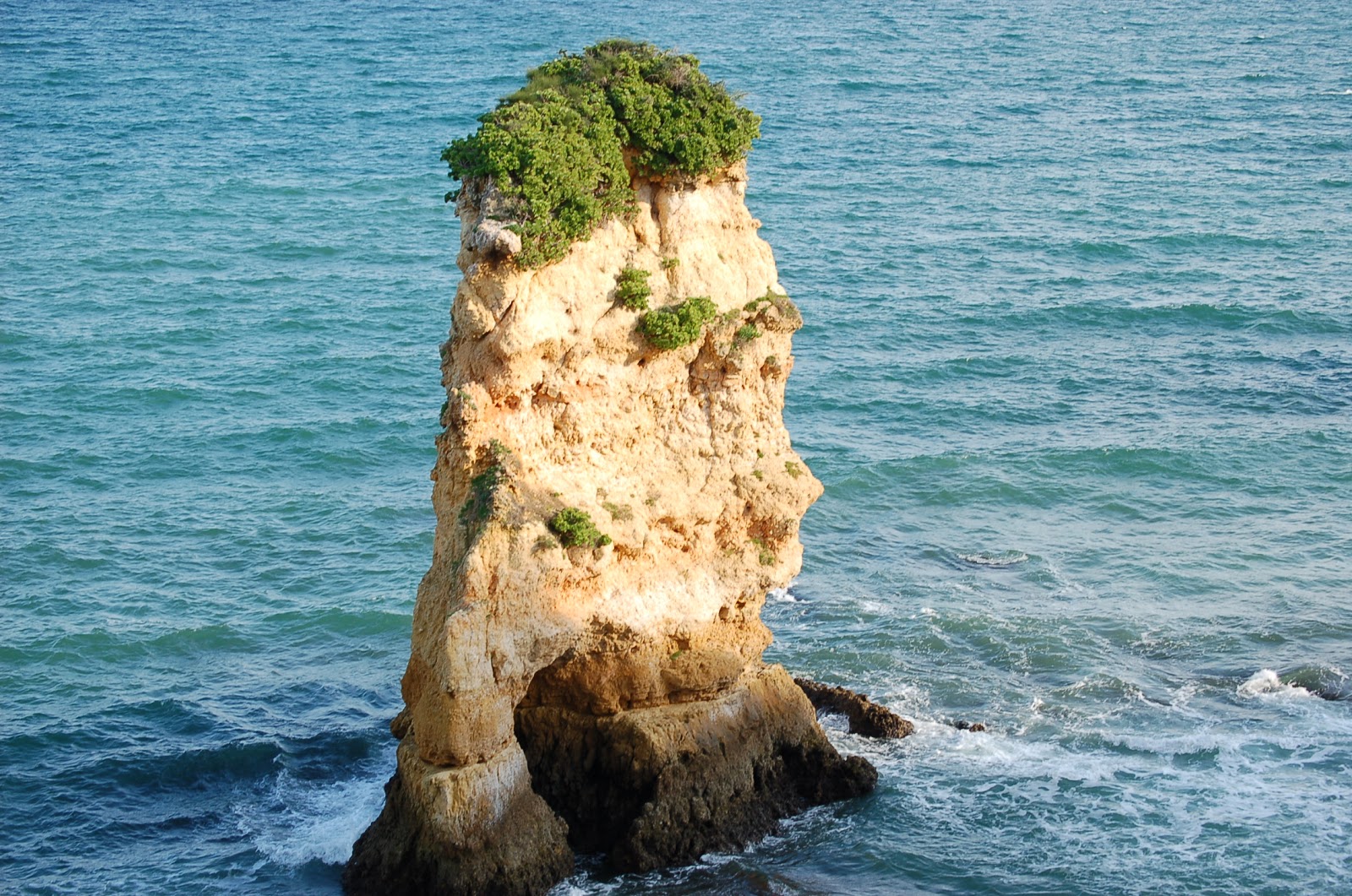 [DSC_0283.JPG]