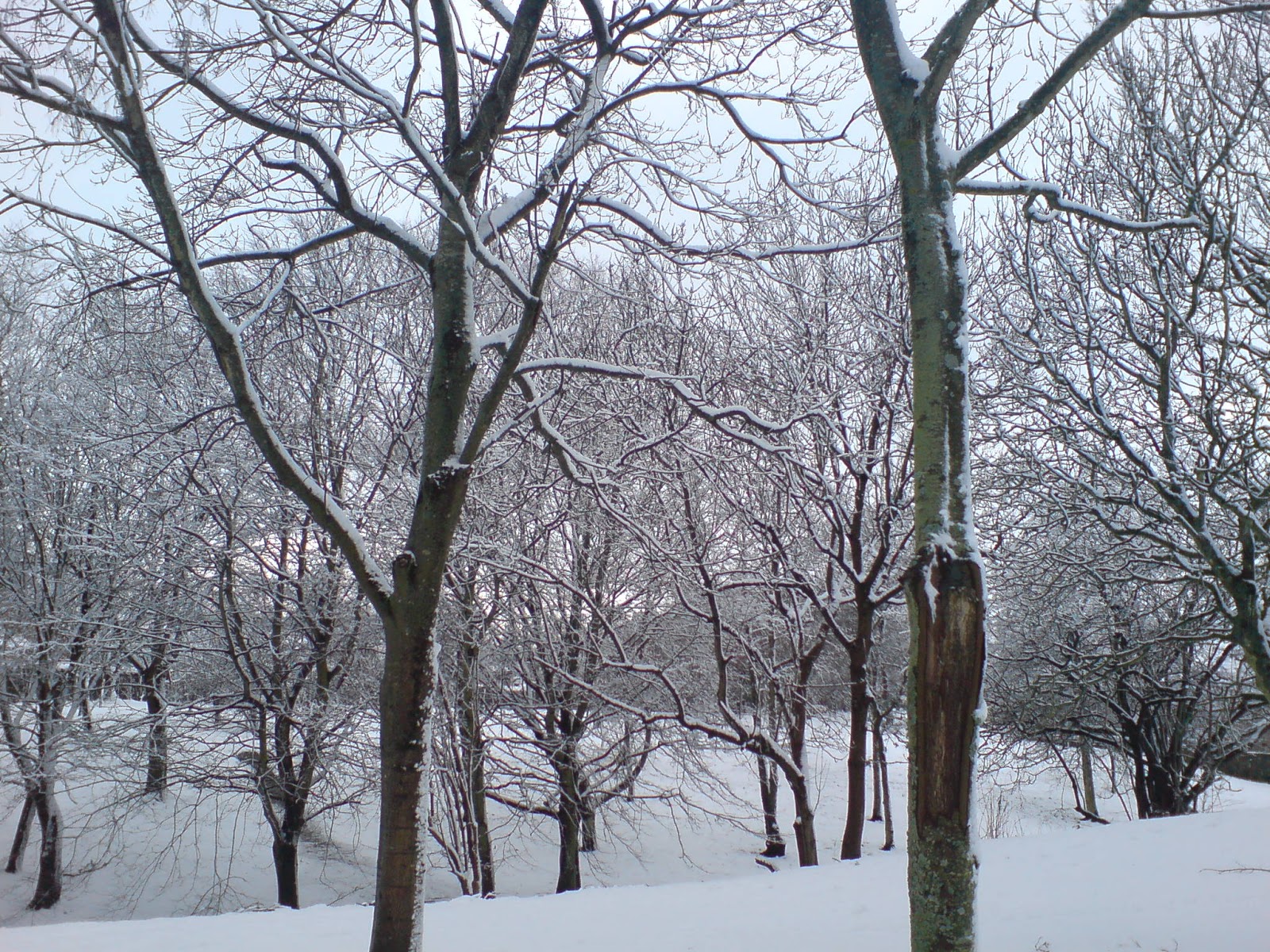 [DSC00279.JPG]