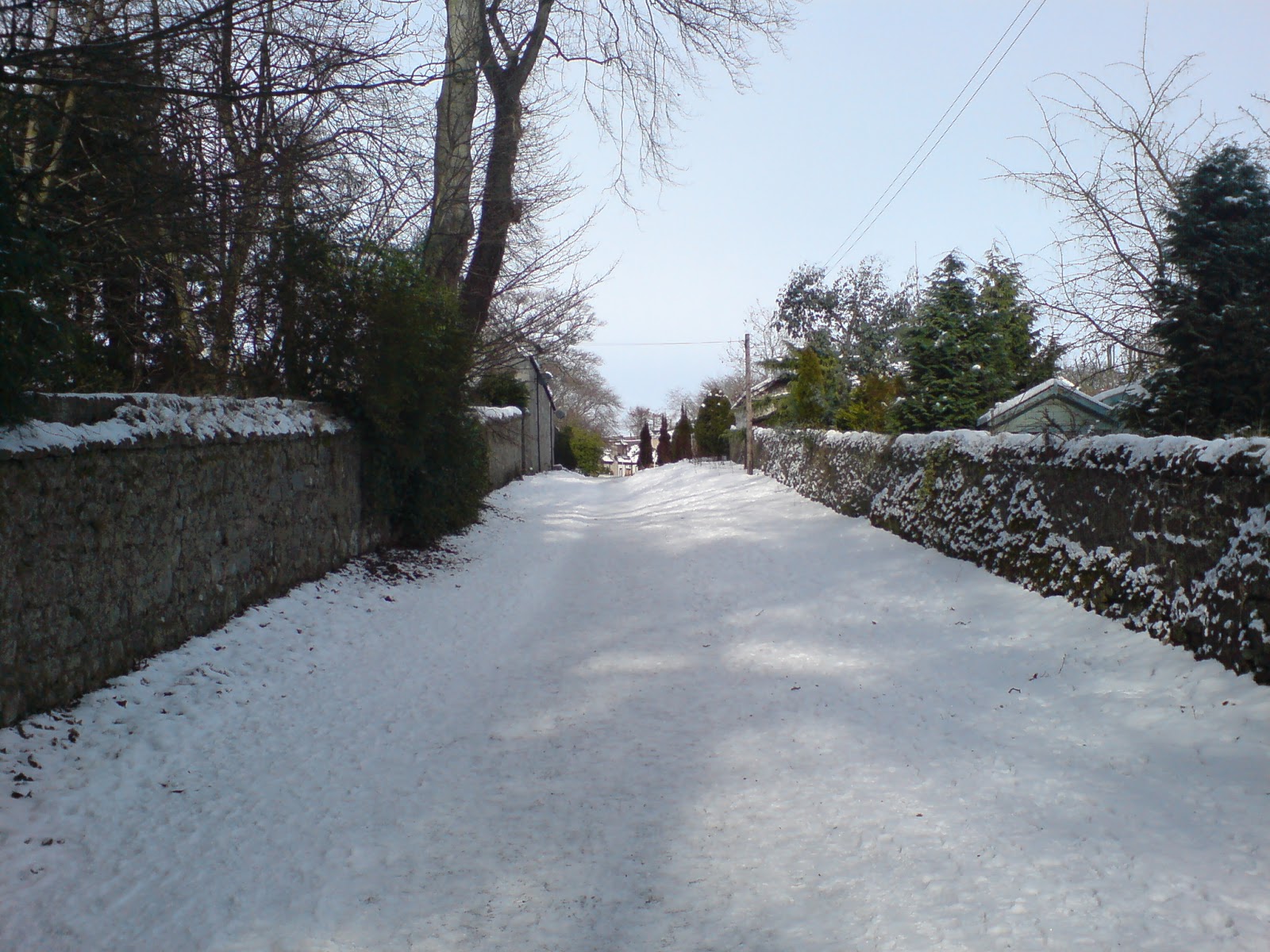 [DSC00291.JPG]