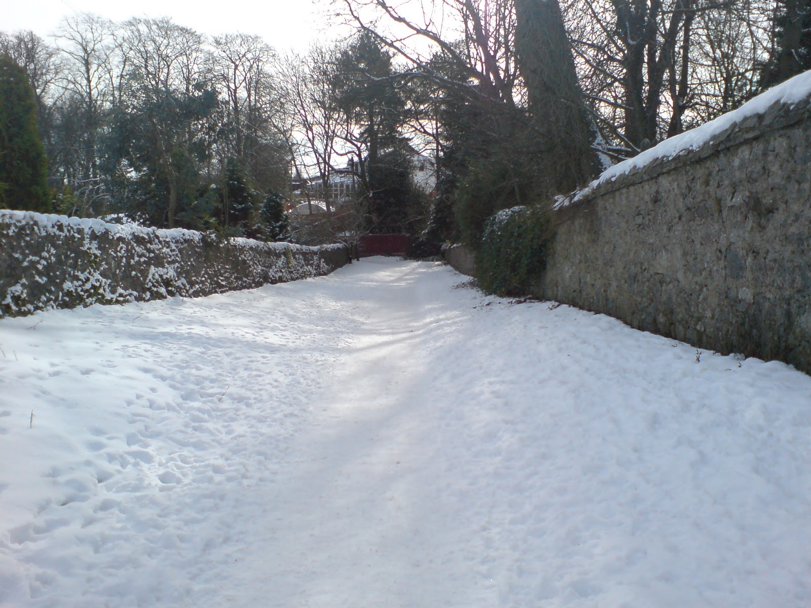 [DSC00288.JPG]