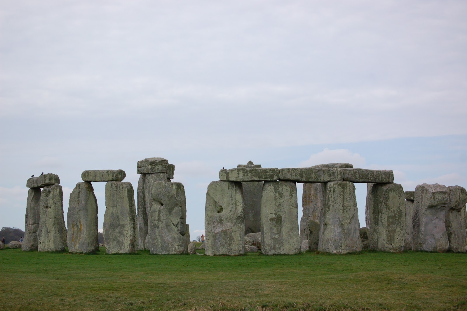 [DSC_4353.JPG]