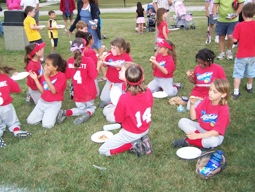 HOFFMAN ESTATES PARK DISTRICT