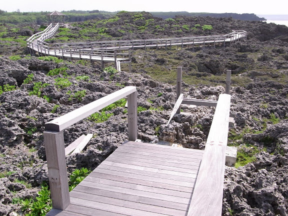 R0012390.JPG