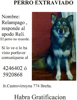 m_Relámpagoperdido.jpg
