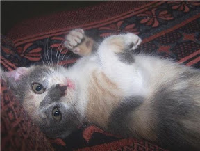 m_minina adop2009.jpg
