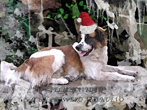 m_m_TARJETA DE NAVIDAD3.jpg
