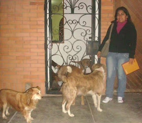 huaral14.JPG