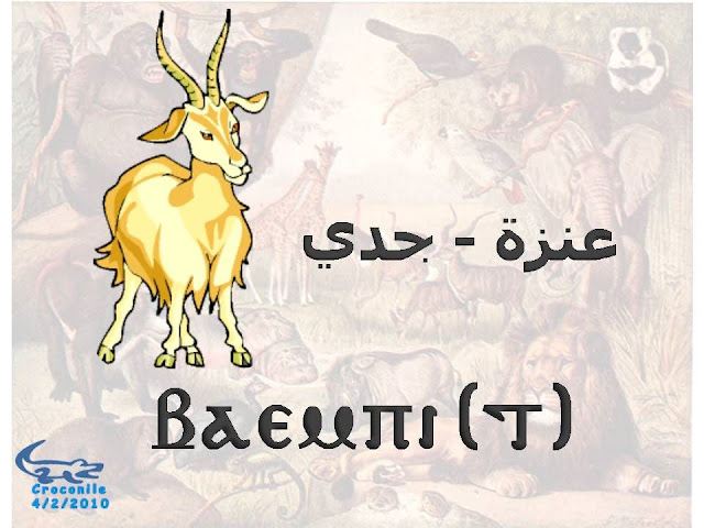 %D8%B7%C2%B4%D8%B7%C2%B1%D8%B8%D9%B9%D8%B7%C2%AD%D8%B7%C2%A918.JPG
