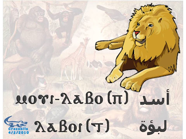 %D8%B7%C2%B4%D8%B7%C2%B1%D8%B8%D9%B9%D8%B7%C2%AD%D8%B7%C2%A912.JPG