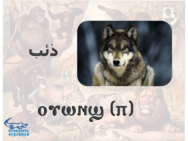%D8%B7%C2%B4%D8%B7%C2%B1%D8%B8%D9%B9%D8%B7%C2%AD%D8%B7%C2%A915.JPG