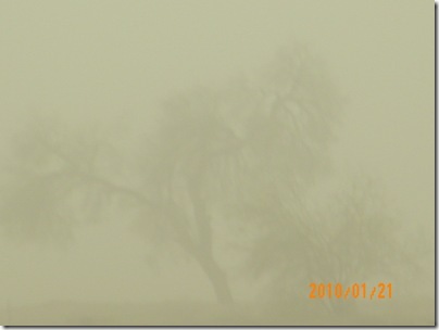 [Sandstorm5[6].jpg]