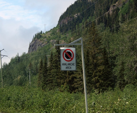 [IMG_9593[10].jpg]