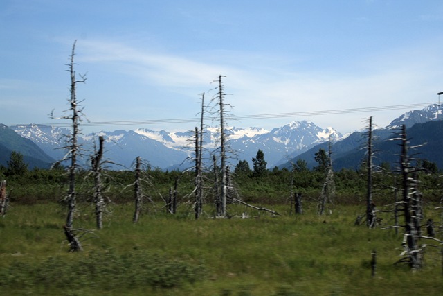 [IMG_0178[3].jpg]