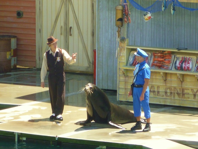[02 seaworld sea show[3].jpg]