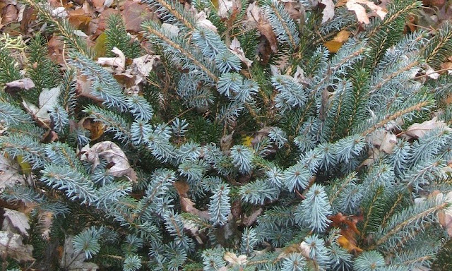image28.jpg
