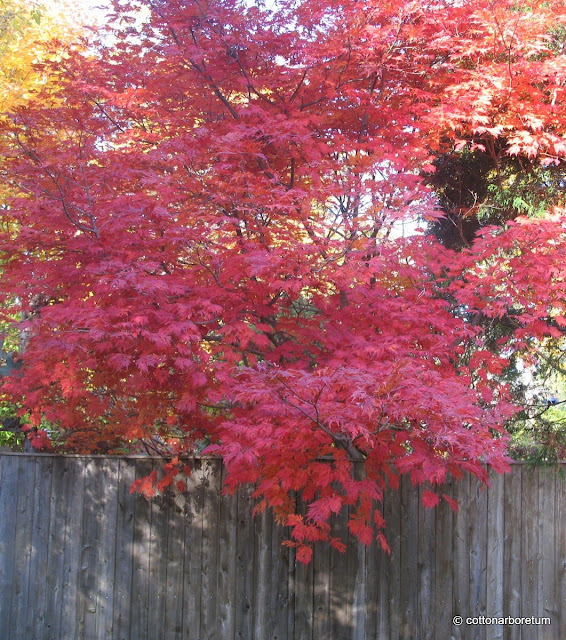 image297.jpg