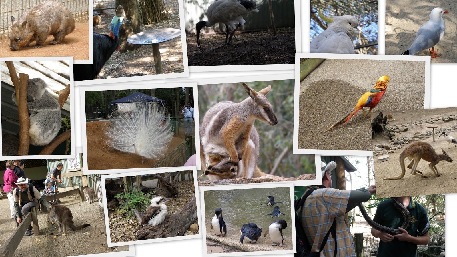 [Stjärnmärkta foton3[7].jpg]