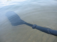 IMG_0569.jpg Photo