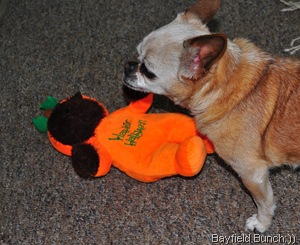 DSC_0019 DSC_0019