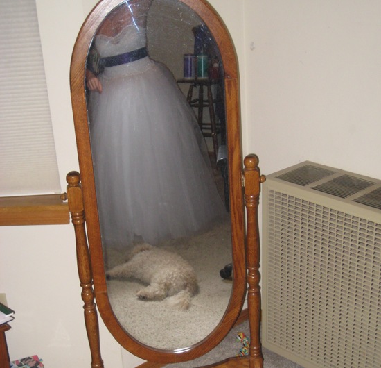 mydress7 mydress7