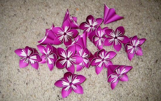 flores3 flores3