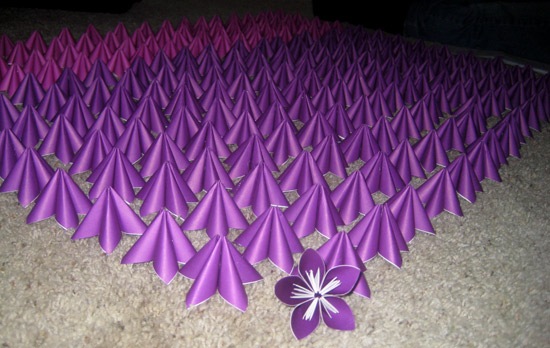 flores7 flores7