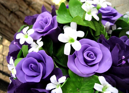 flores1 flores1