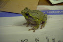 Image007.jpg
