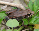 IMG_5580.JPG