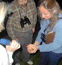 toad in hand.jpg