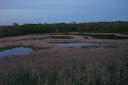 DSC04089.JPG