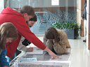 choosing survey areas.jpg