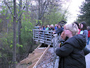 Bloomfield Frog Listen 2010-04-23 011.jpg