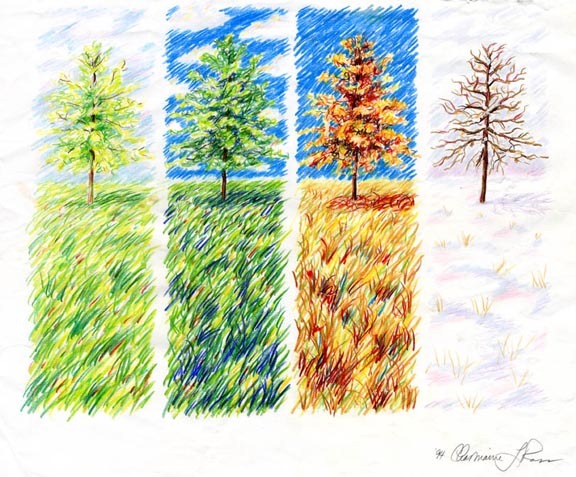[seasons[5].jpg]