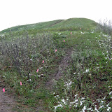 Regionals 2010 001.jpg