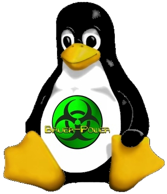 INSTALL NDISWRAPPER install ndiswrapper: