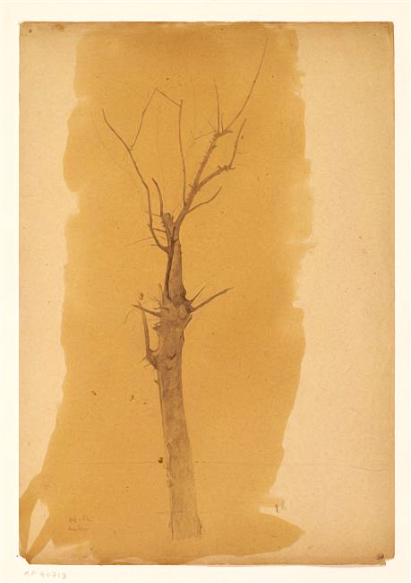 Arbre dénudé du Médoc, Dessin d'Odilon Redon Musée d'Orsay
