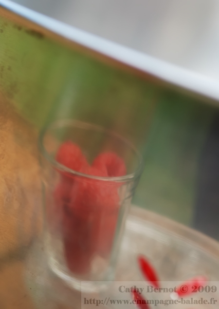 photo-framboise-fruit-rouge-confiture-gelee-buisson-reflet