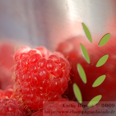 photo-framboise-fruit-rouge-confiture-gelee-jardin-reflet-inox
