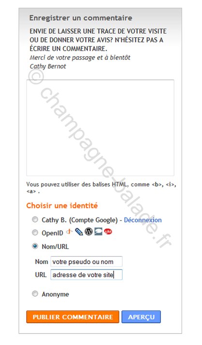 laisser-ecrire-commentaire-blog-blogger