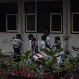 IMG_9874.JPG