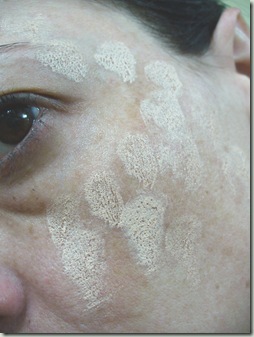 dermablend 004