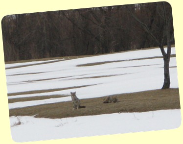 IMG_0800 IMG_0800